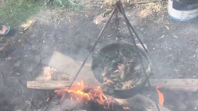 Мопс заехал к двойнику Лене или Мопс на рыбалке