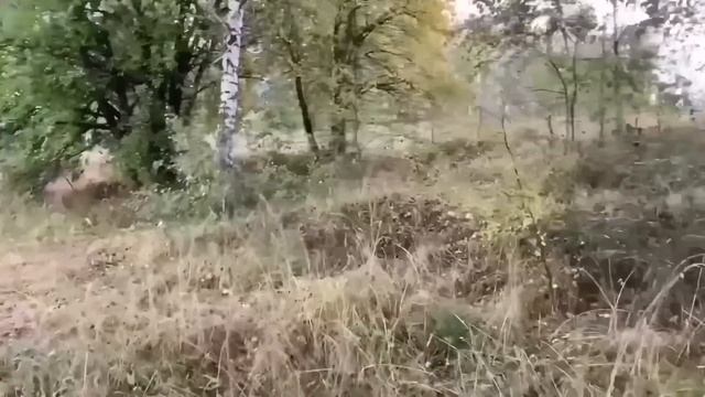 НУ ЧТО УРАЛОЧКА, ПОЛУЧИЛА? И ПРАВИЛЬНО! ОЛЬГА УРАЛОЧКА LIVE. смотреть онлайн