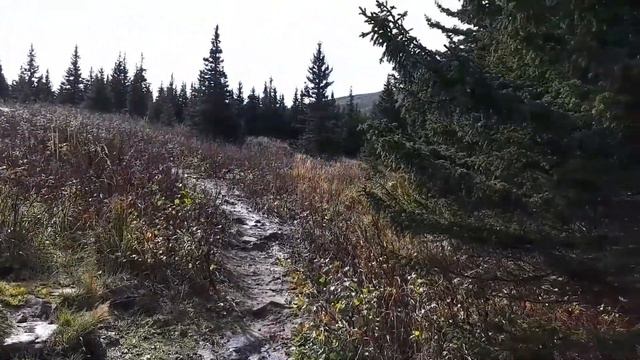 По пути на Большой Иремель ⛰ De camino a la montaña Gran Iremel смотреть онлайн