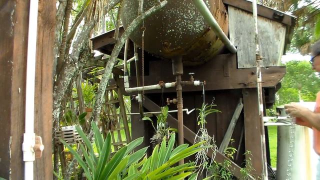 Rehang Large Staghorn Ferns with Big Chains Too Long and Just Right смотреть онлайн