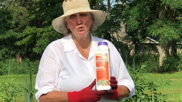 Mid-Summer Maintenance   Copper Fungicide