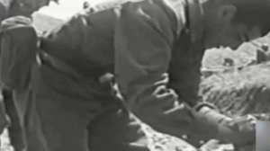 Прощай Союз