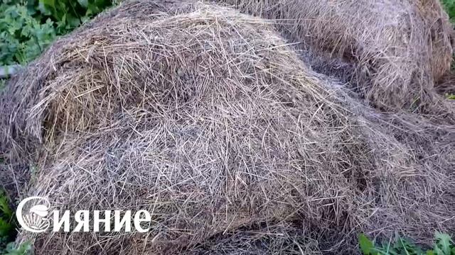 Копать или не копать Часть 2 Целина смотреть онлайн