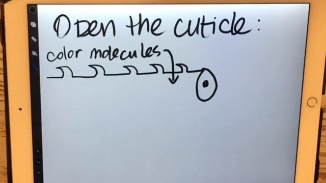 What is the hair cuticle? HAIR INFO - Amanda The Beauty Pro смотреть онлайн