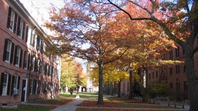 Yale | Wikipedia audio article смотреть онлайн