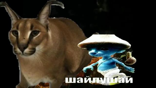 куда идёт шайлушай 3. смотреть онлайн