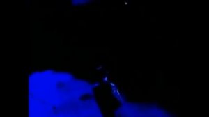 Равшан Собиров - Севар эдим 2000