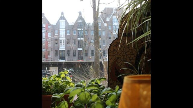 Lately Lui - Amsterdam 1 Hour