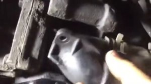 Как самому заменить термостат Volkswagen T4 1.9d 1991 без турбины. Своими руками. Замена термостата