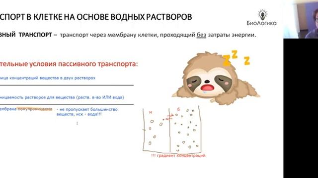 Лекция 1. Часть 2. Вода. Соли. смотреть онлайн