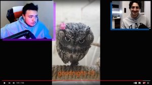 ✅ РЕАКЦИЯ РАЙМА И ГРАДУСА НА САМЫЕ УГАРНЫЕ ВИДЕО В ГАЛАКТИКЕ