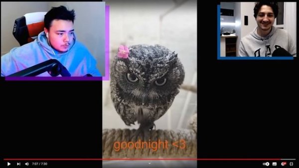 ✅ РЕАКЦИЯ РАЙМА И ГРАДУСА НА САМЫЕ УГАРНЫЕ ВИДЕО В ГАЛАКТИКЕ