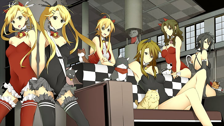 Nyan Koi [AMV] My Bitches [censored]