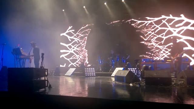 дельфин - серебро 28/02/2015 crocus city hall смотреть онлайн