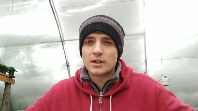 Этот цветок выращивать выгоднее всего! смотреть онлайн