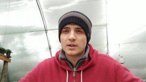 Этот цветок выращивать выгоднее всего!