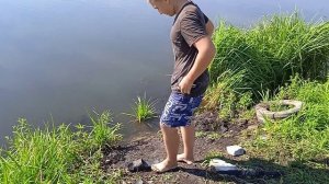 Ловля линя на ловушки(зонтик)