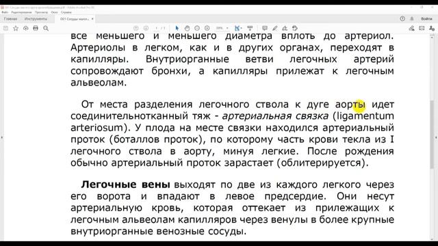 61 Сосуды малого круга кровообращения смотреть онлайн