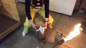 Обезроживание козлят методом прижигания. Ферма Надежда