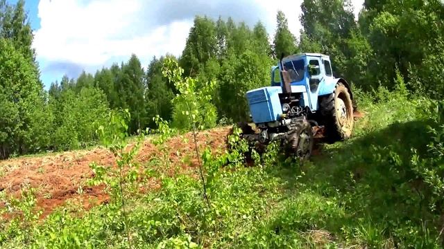 Пашем на Т40//Сеем овес, для охоты на медведя//We sow oats, for bear hunting смотреть онлайн