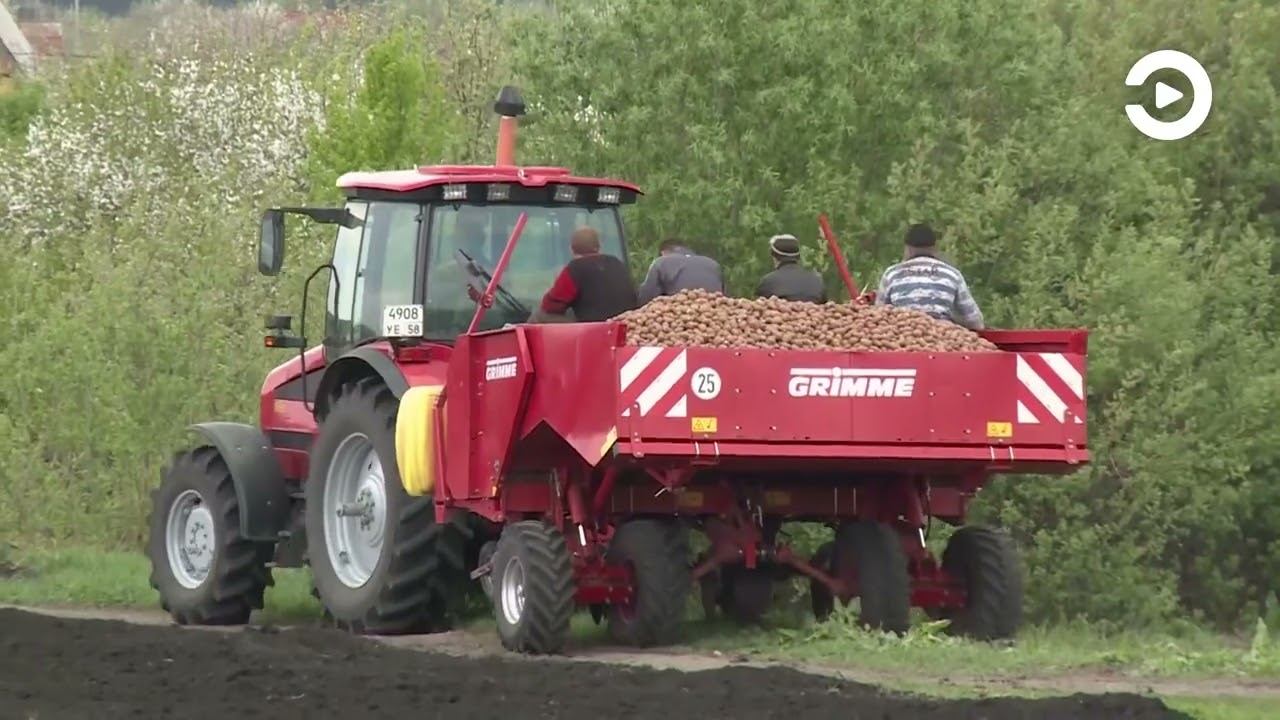 Посевная кампания в Пензенской области вышла на финишную прямую смотреть онлайн