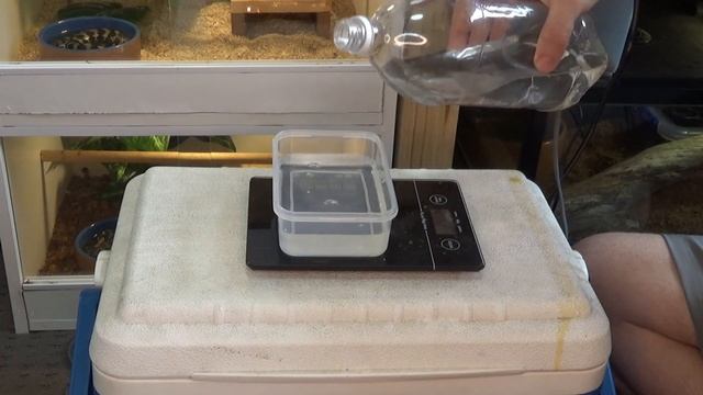 DIY Egg Incubator/My Children's Python Laid Eggs смотреть онлайн