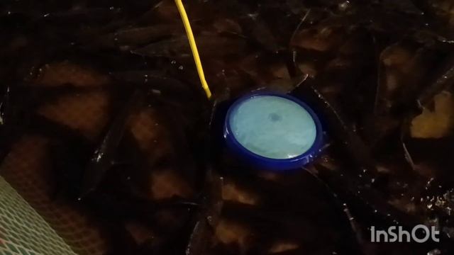 Подмена воды в нашем узв, смотрим количество рыбы. смотреть онлайн