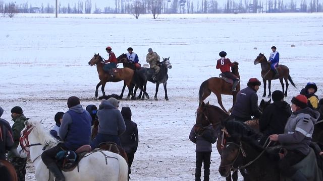 тушоо тойго арналган кокбору.1 болум. смотреть онлайн