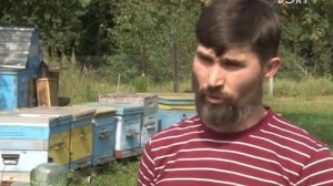 Опытный пасечник делится советами развития пчеловодства в Медовый Спас