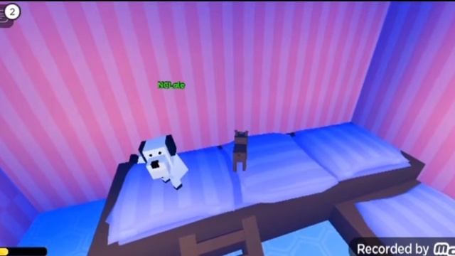 Играем в Pet store / Симулятор собаки #роблокс смотреть онлайн