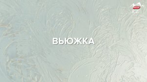 Вьюжка