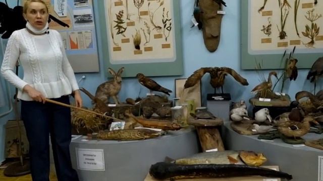 Онлайн-экскурсия по отделу природы Тирасполького объединенного музея.
