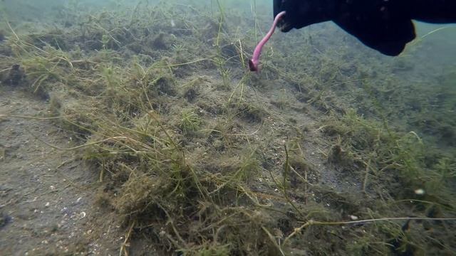*** Coarse & Match Fishing TV *** Matrix Submerged Episode 1