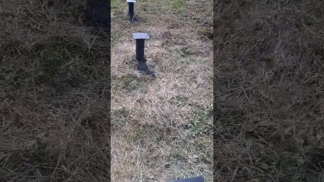 Погружение винтовых свай смотреть онлайн