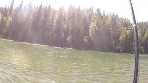 Горная река Кизир, тайга, рыбалка на хариуса, Шинда, сплав по Кизиру.