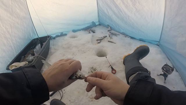 Пулеметный клёв. Ловля чебака и подлещика на реке в глухозимье смотреть онлайн