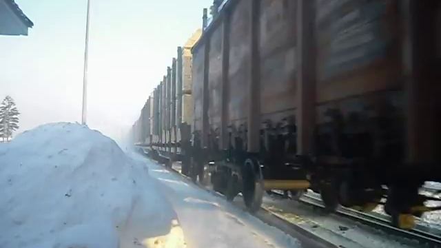 состав сибирского леса смотреть онлайн