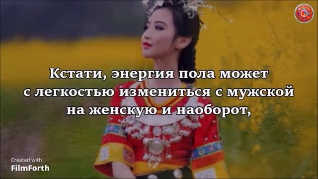 Какому духу достанется женская суть, а какому – мужская? смотреть онлайн