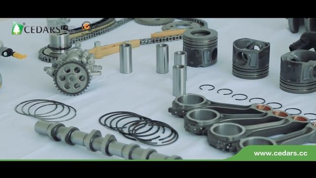 Ford Transit Parts Reliable Supplier смотреть онлайн