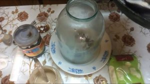 Домашний Квас без дрожжей, на ржаной закваске Старинный способ Рецепт