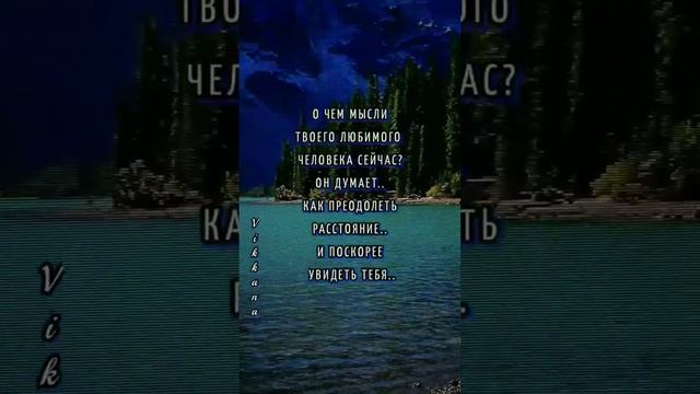 О чем мысли любимого человека?#shorts #любовь #отношения #гадание смотреть онлайн