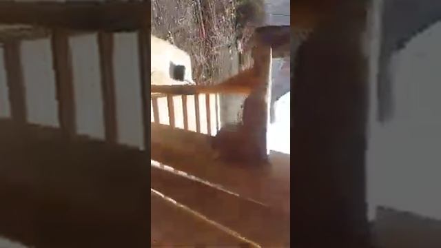 ?? Садовое кресло Адирондак из дуба смотреть онлайн