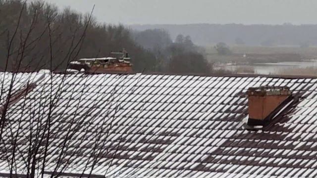 Снежная зима в Калининградской области, только на один день 2023 года. смотреть онлайн