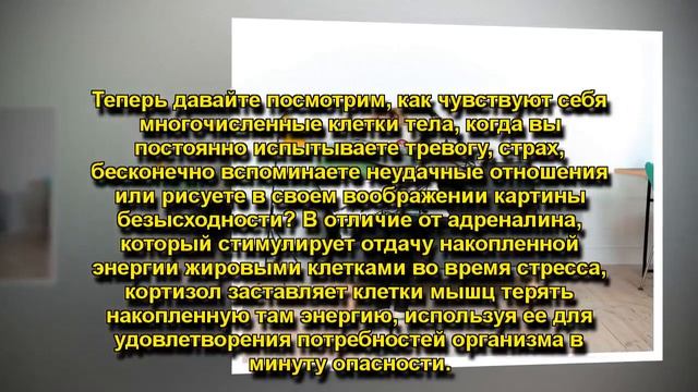 ПОЧЕМУ МЫ НАБИРАЕМ ЛИШНИЕ КИЛОГРАММЫ ВО ВРЕМЯ СТРЕССА смотреть онлайн