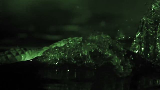 Неделя Африки на Моей Планете! смотреть онлайн