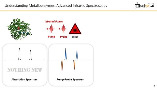 Dr. Horch: Exploring catalytic systems by ultrafast, multidimensional and computational spectroscop смотреть онлайн