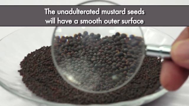 Detecting Argemone Seeds Adulteration in Mustard Seeds смотреть онлайн