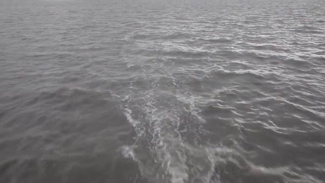 Счастливые люди Поморы смотреть онлайн