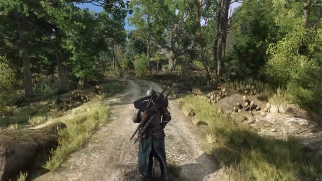 [4K60] Witcher3 RTX 4090 - RAYTRACING | 100+Mods | UBERLOD MOD - PLM2 - Blitz FX | BEYOND ALL LIMIT смотреть онлайн