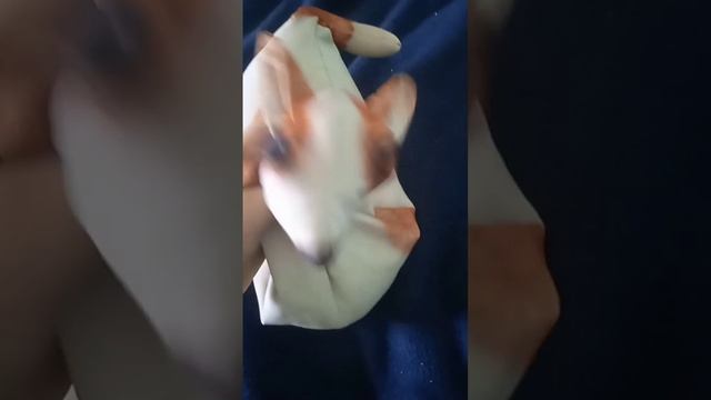 рифмы смотреть онлайн